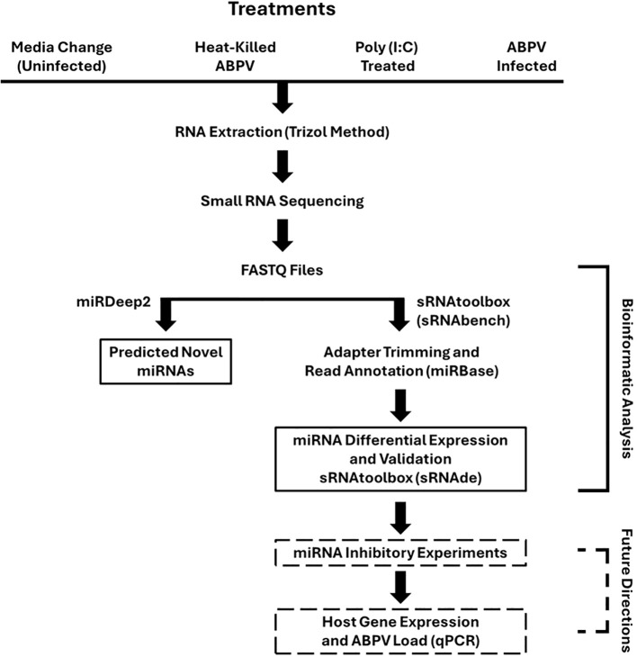 Figure 1