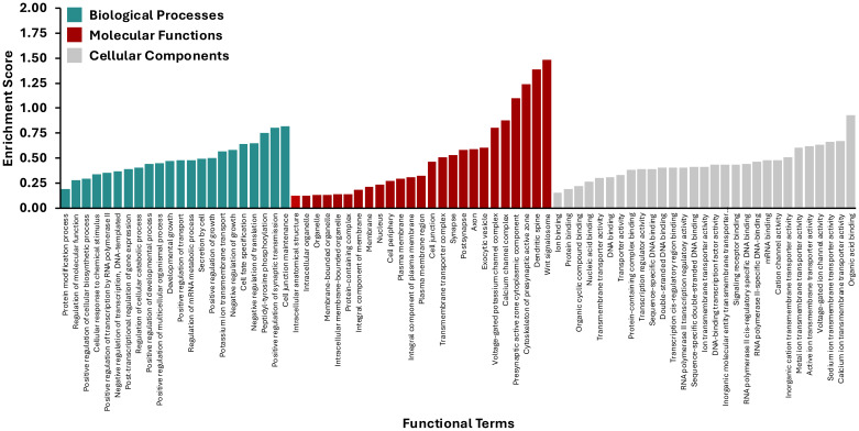 Figure 6