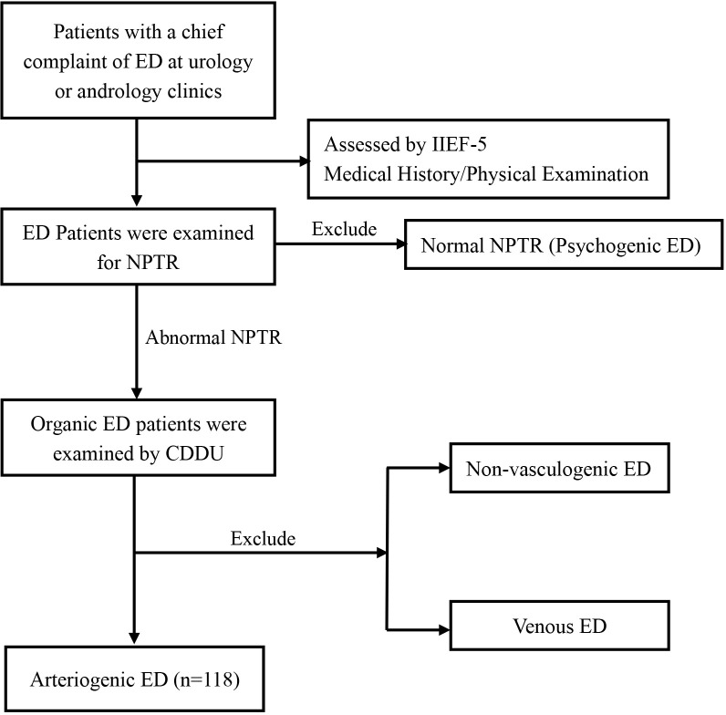 Figure 1