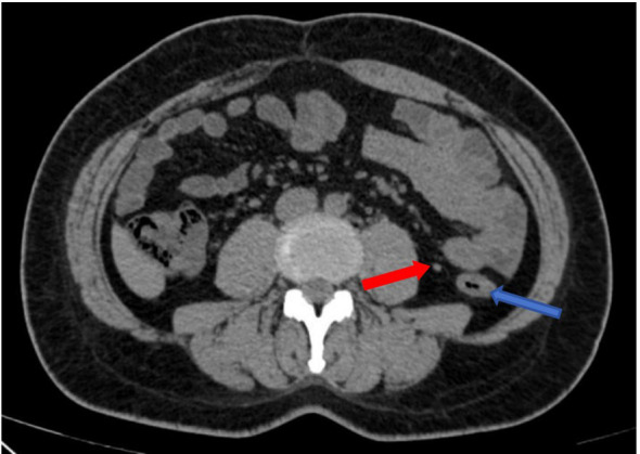 Figure 5