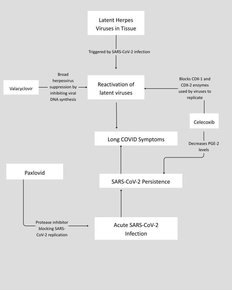 Figure 1