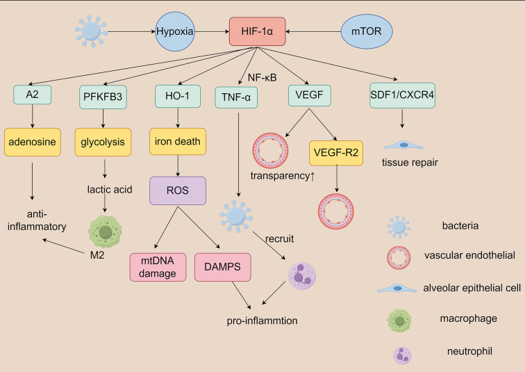 Figure 4