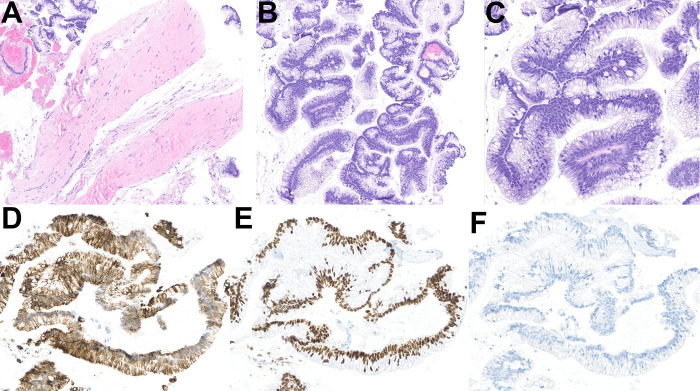 Figure 3