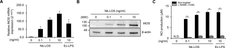 Figure 4