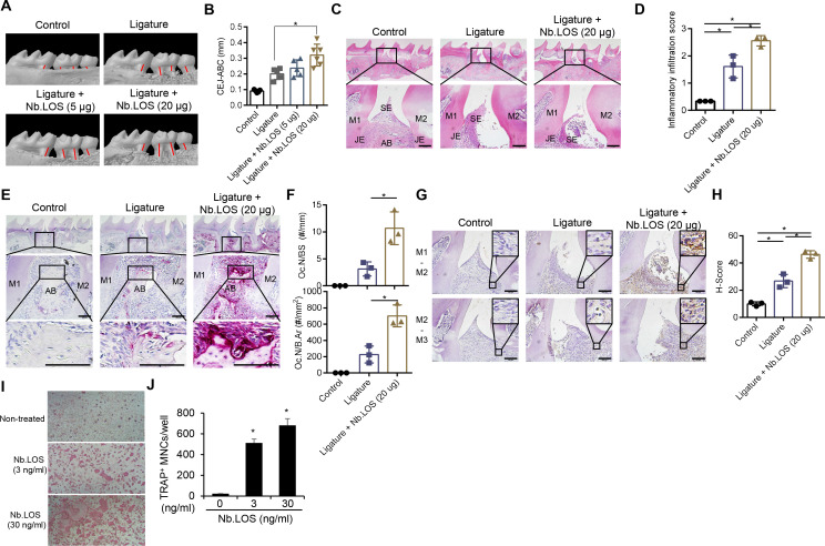 Figure 6