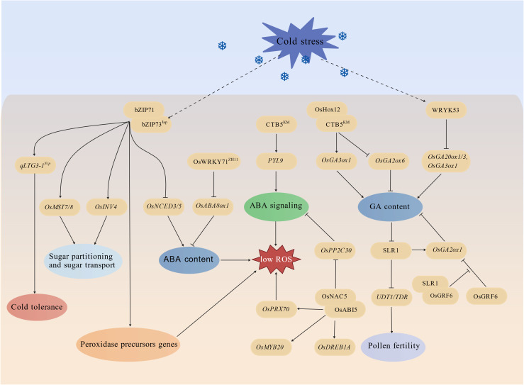 Figure 5