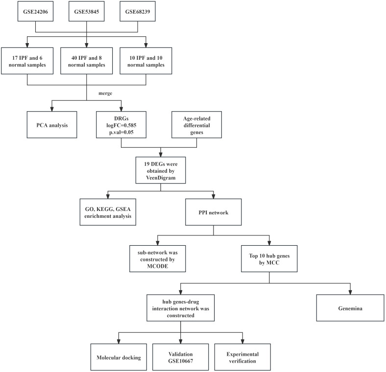 Figure 1