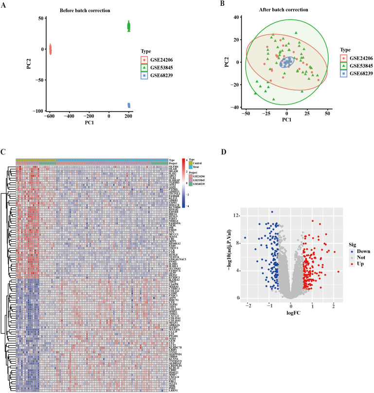 Figure 2
