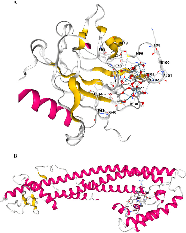 Figure 6