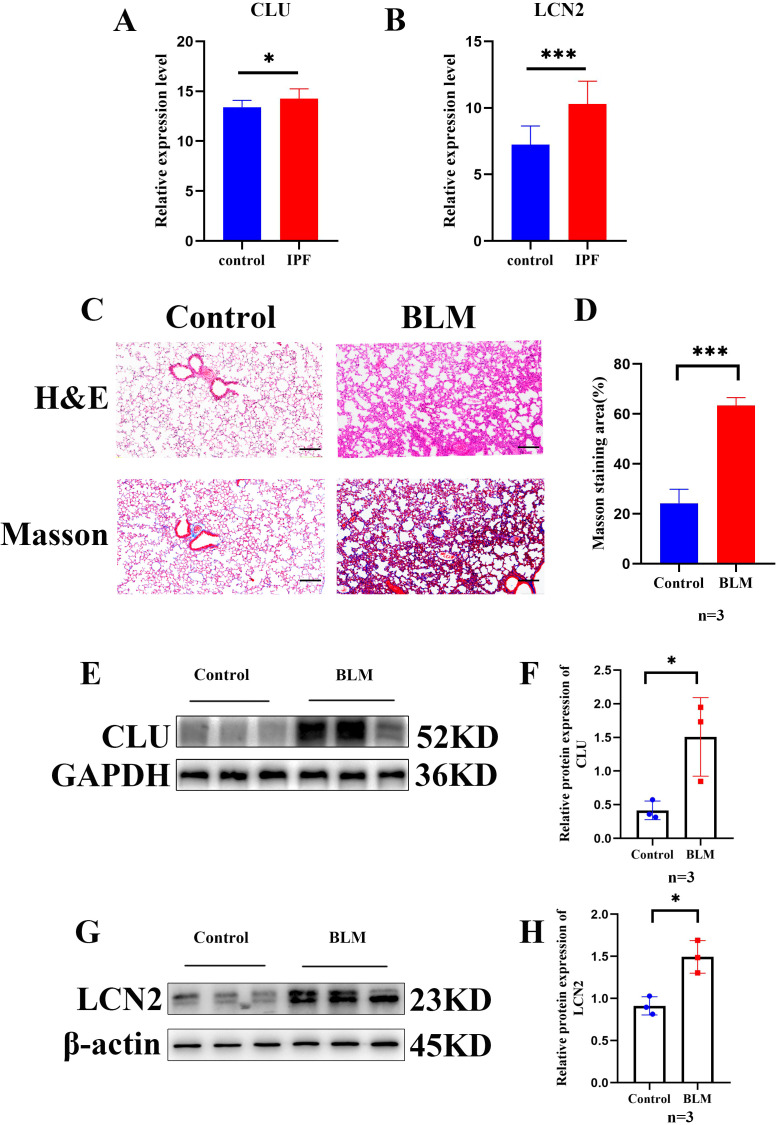 Figure 7