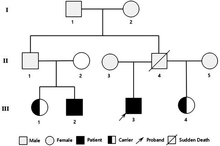 Figure 3