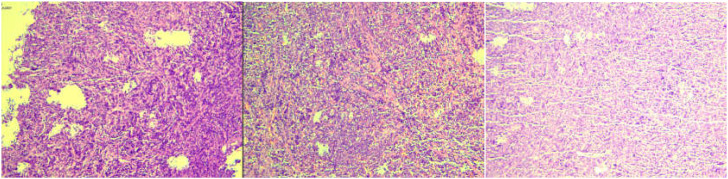 Figure 2