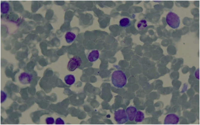 Figure 3