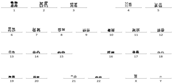 Figure 5