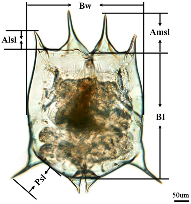 FIGURE 1