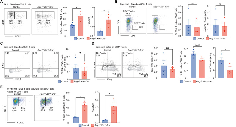 Figure 6