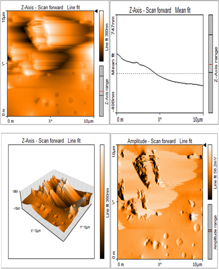 Figure 3c