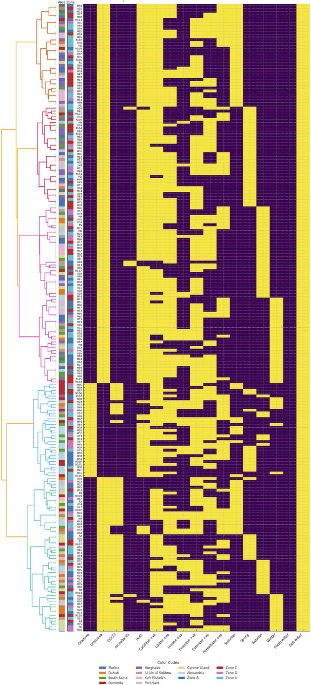 FIGURE 3