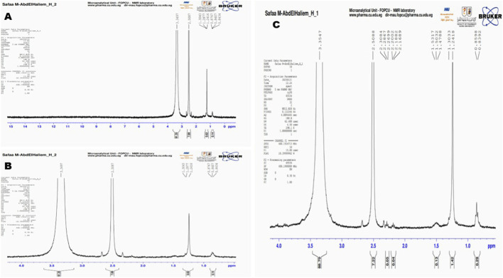 FIGURE 10