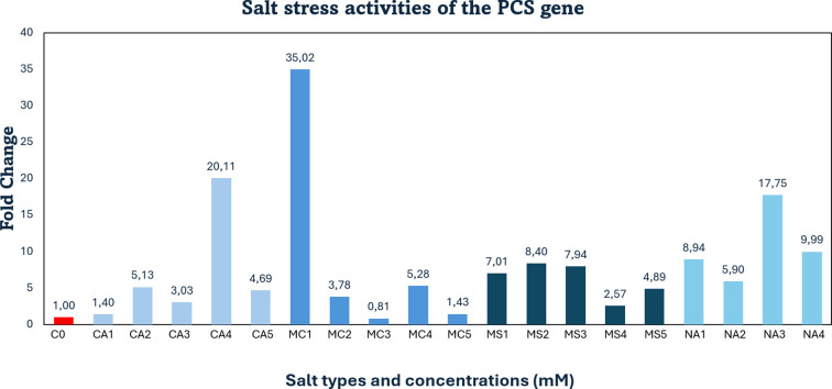 Figure 5