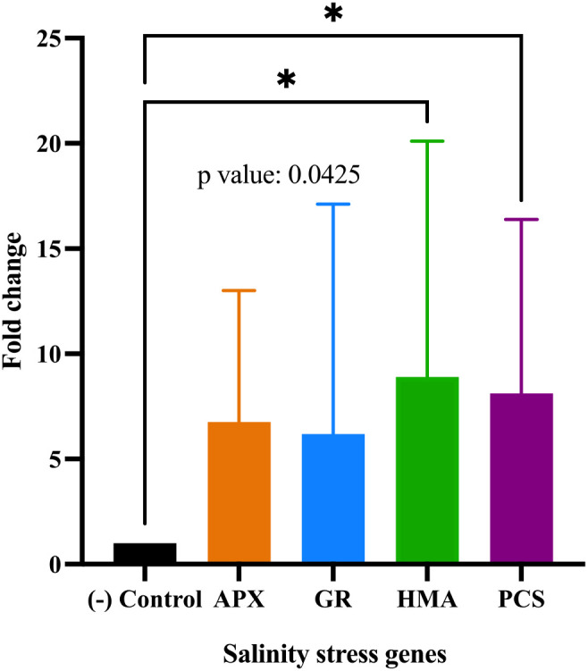 Figure 6