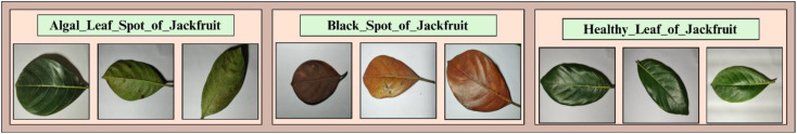 Figure 2