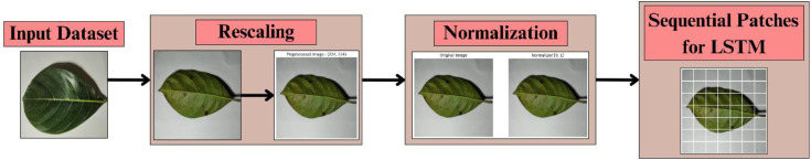 Figure 3