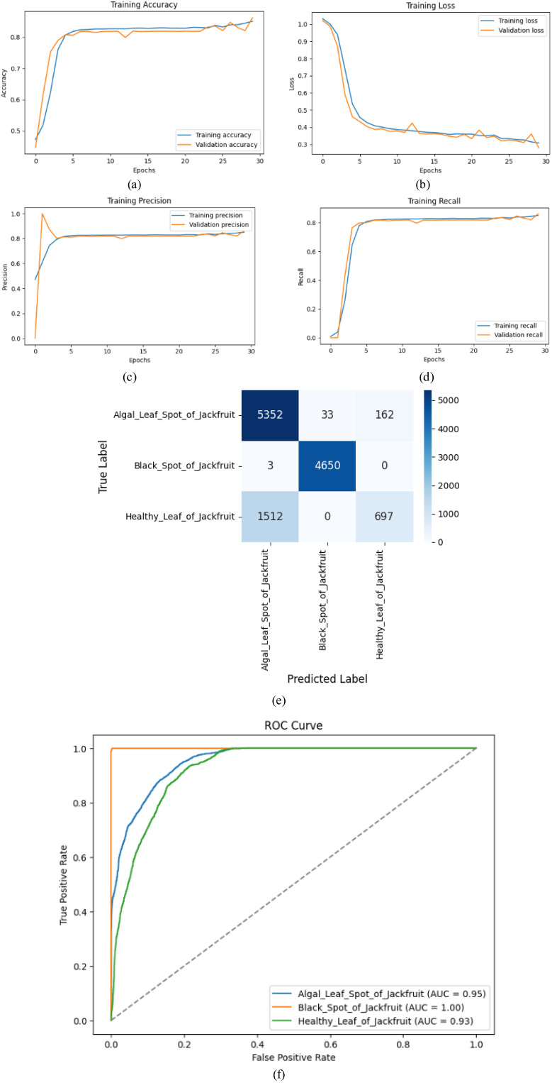 Figure 7