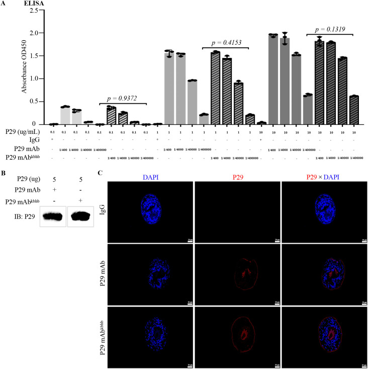 Figure 3