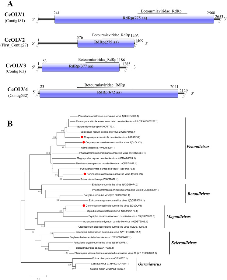 Figure 2