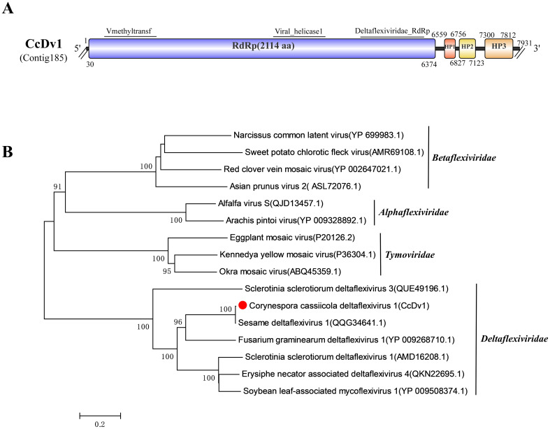 Figure 3