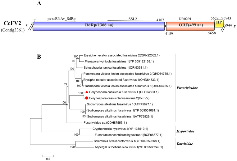 Figure 4