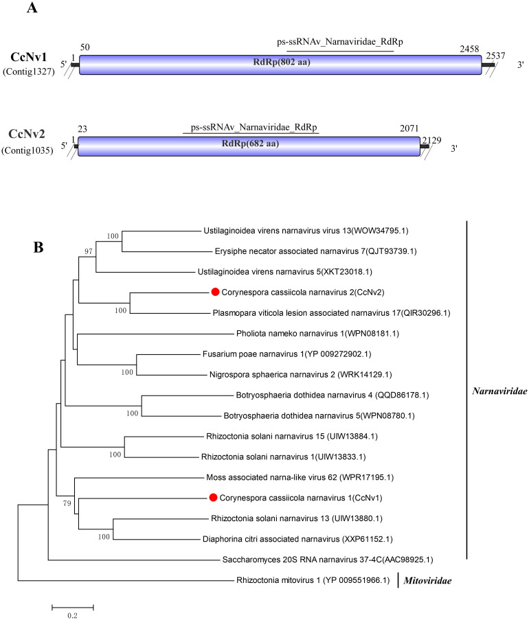 Figure 5