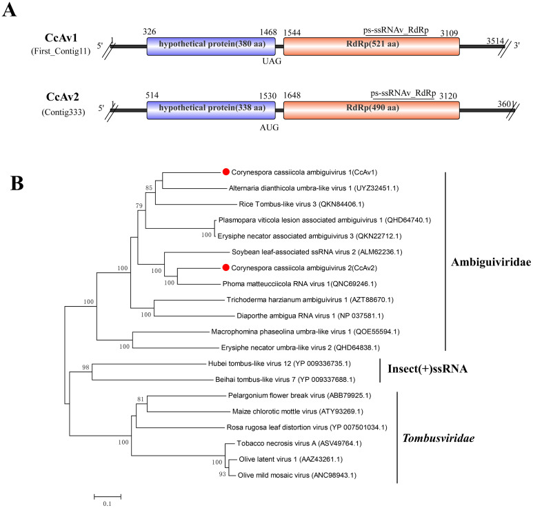 Figure 6