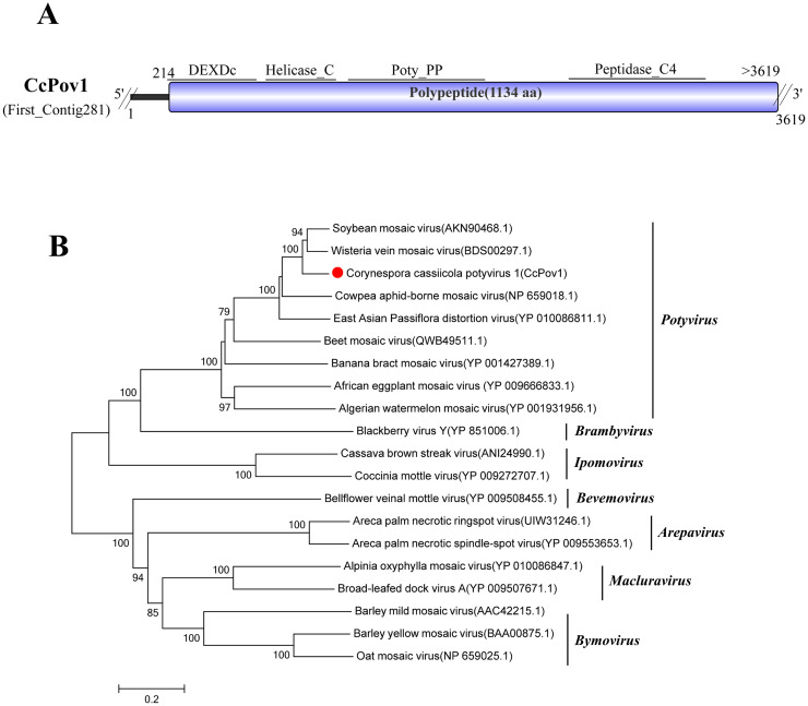 Figure 7