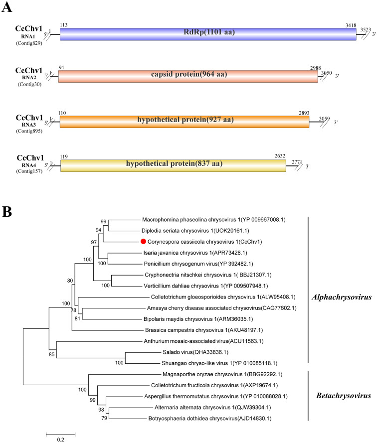 Figure 10