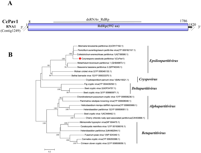 Figure 11