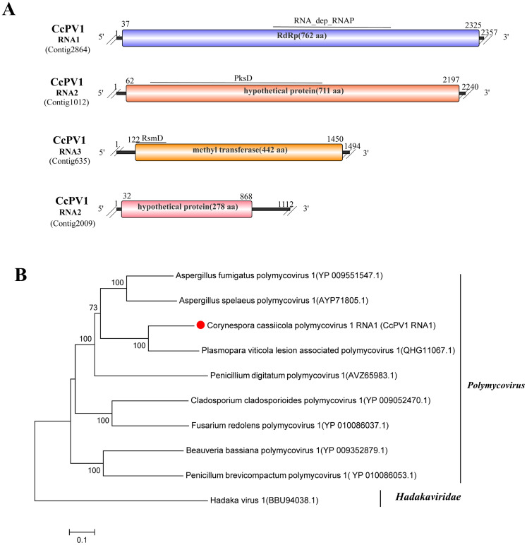 Figure 12