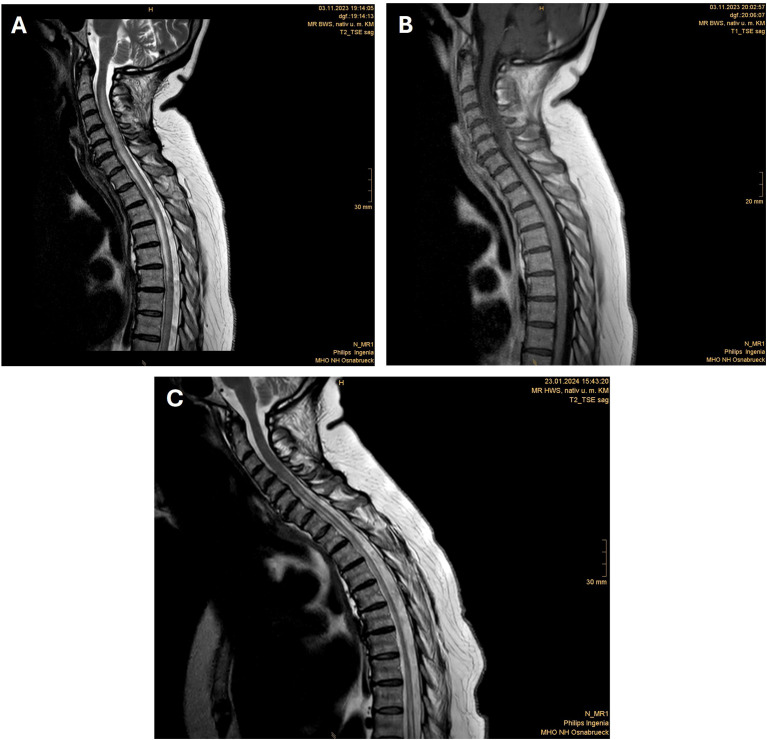 Figure 2