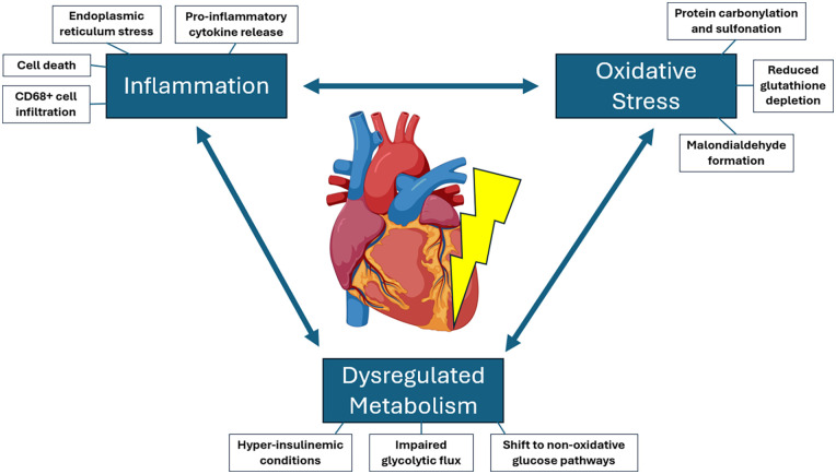 Figure 1