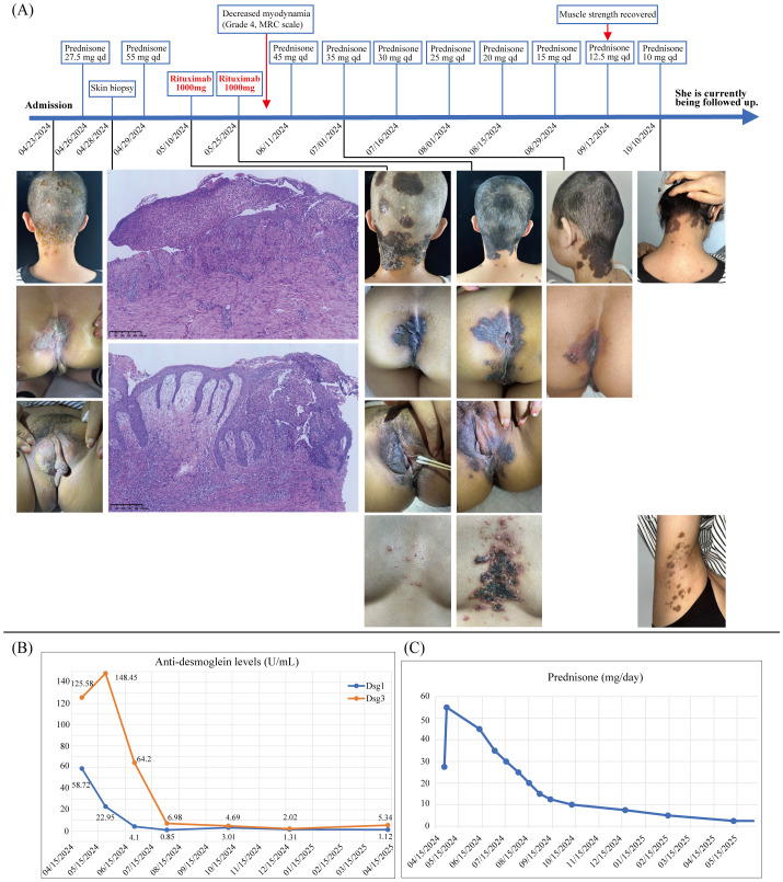 Figure 1