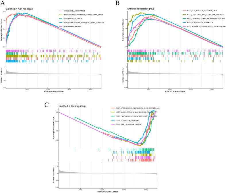 Figure 6