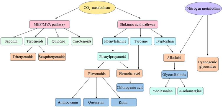 Figure 1