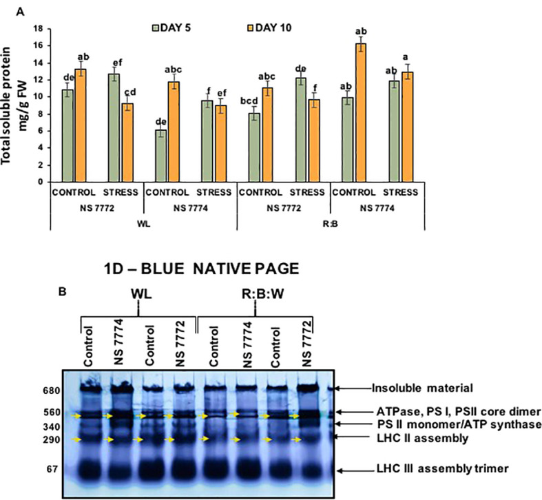 Figure 7