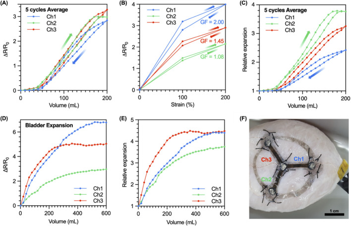 FIGURE 4