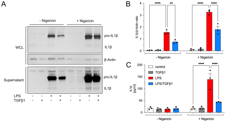 Figure 5