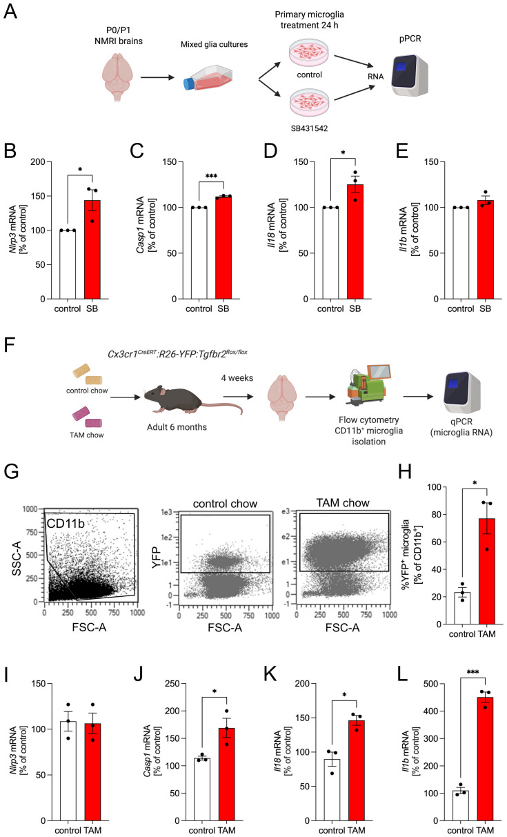 Figure 6