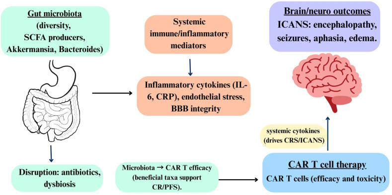 Figure 2