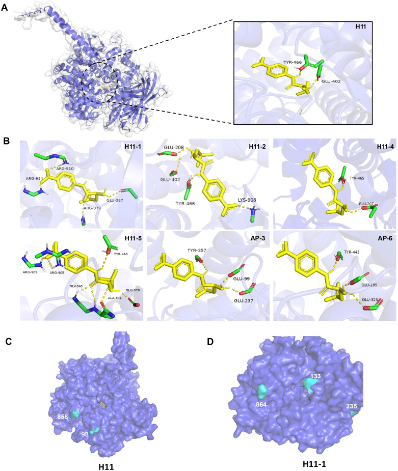 Figure 7