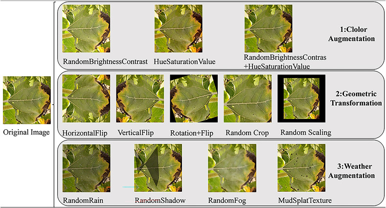 Figure 2